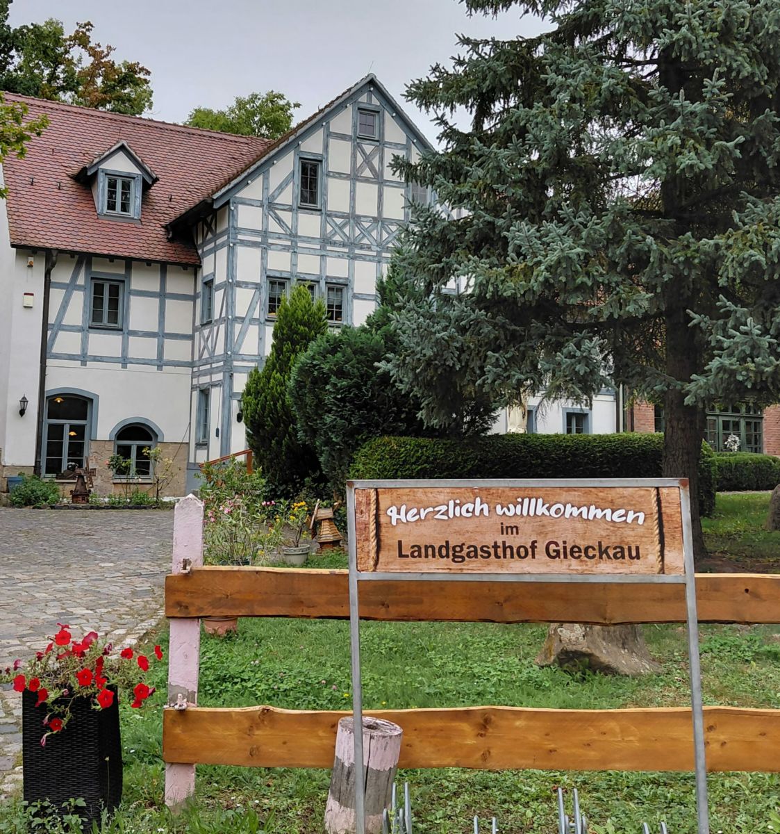 Wildlachs auf Gemüsereis